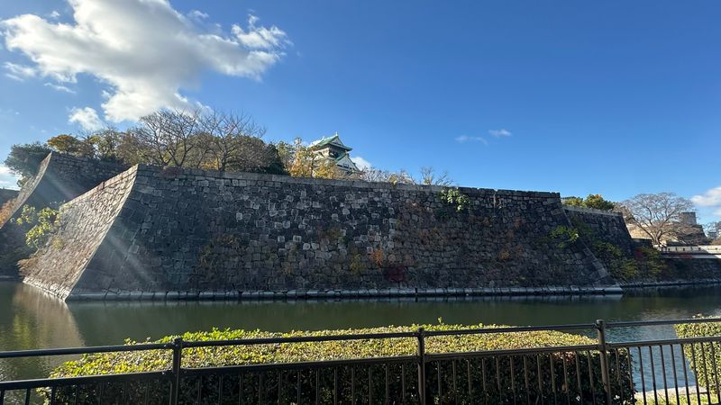 IMG_3290.JPEG