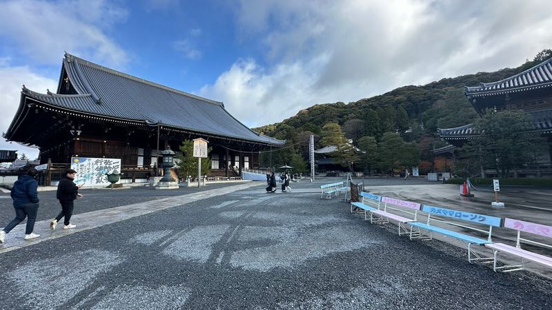 IMG_3864.JPEG