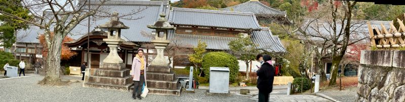 IMG_4004.JPEG