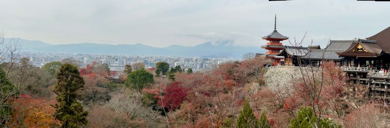IMG_4081.JPEG
