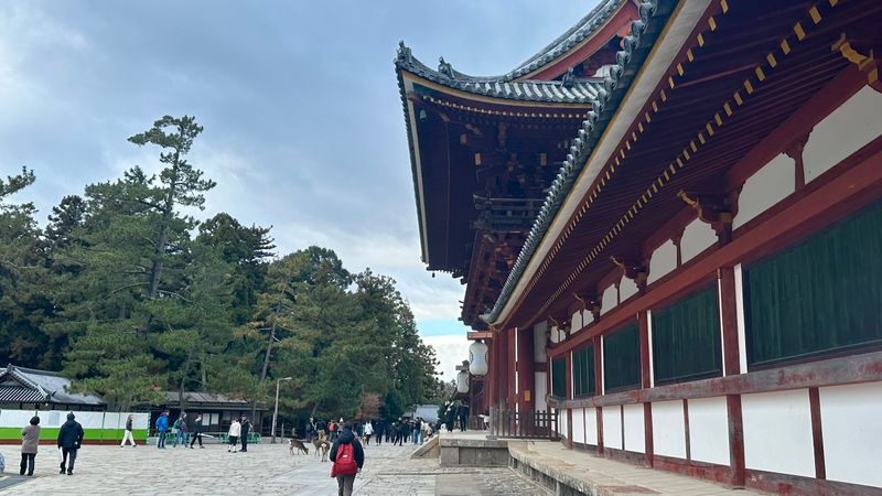 IMG_4304.JPEG