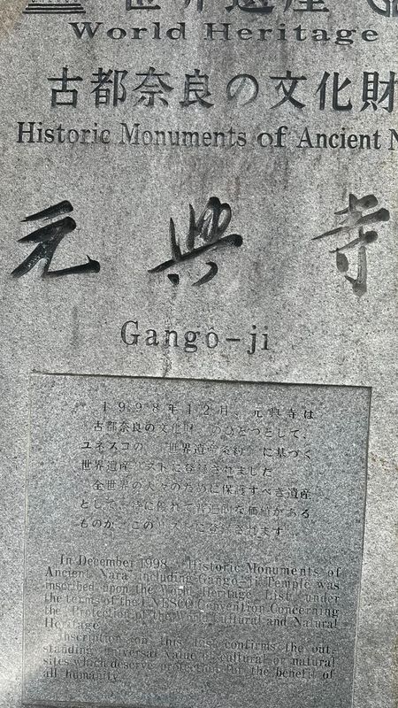 IMG_4381.JPEG