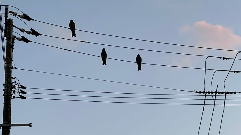 IMG_4655.JPEG
