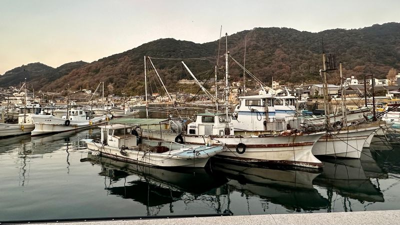 IMG_4706.JPEG