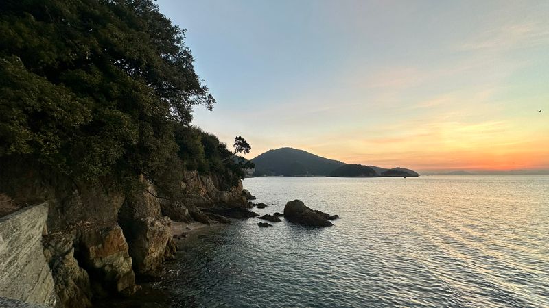 IMG_4711.JPEG
