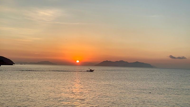 IMG_4738.JPEG