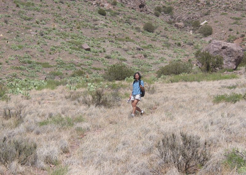 030629_NewMexico_Anna.jpeg