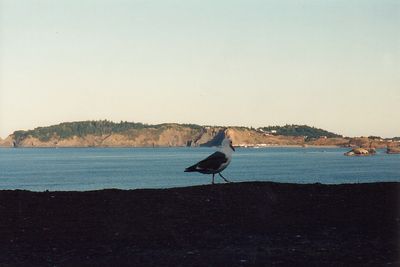 1992_est_oregon_07.jpg