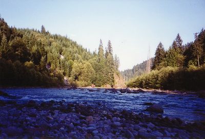 1992_est_oregon_25.jpg