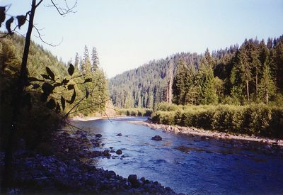 1992_est_oregon_27.jpg