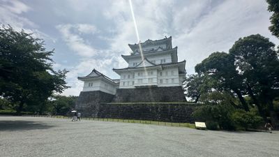 g13/19/15419/3/174762201.814f98db.JPEG