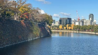 g13/19/15419/3/175190356.ca0017ee.JPEG
