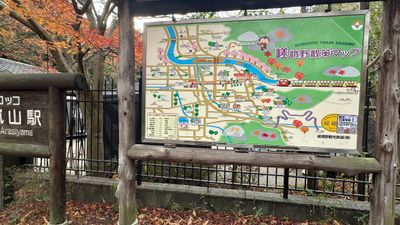 g13/19/15419/3/175190419.605a655c.JPEG