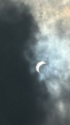 IMG_9047.JPEG