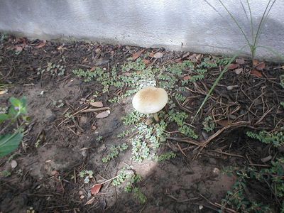 021020_nature_01.JPG