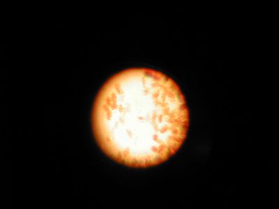 p1010007.JPG
