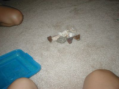 rocks.JPG