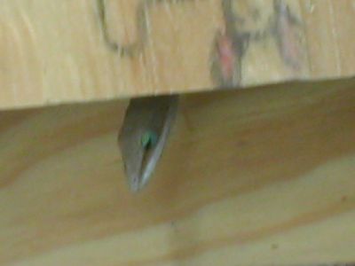 021020_nature_02.JPG