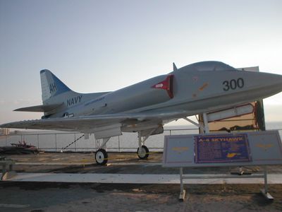 p1010104.JPG