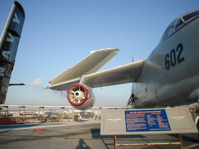 p1010107.JPG