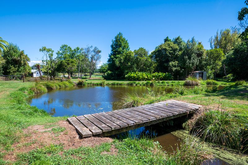 Ohau farmpond with rustic bridge