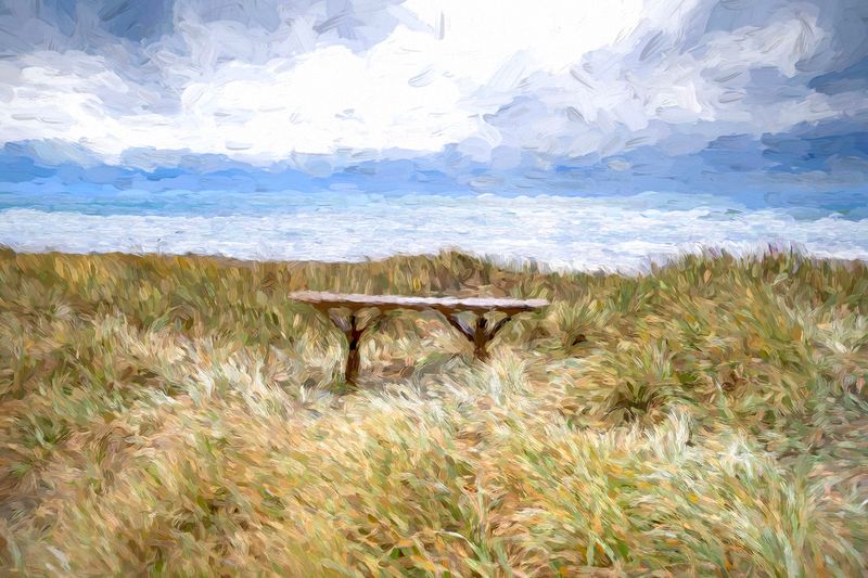 Seat at Waitarere Beach - used Topaz Labs Studio - impasto