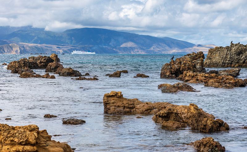 Wellington's Breaker Bay, looking to the Heads and the Orongoronga's