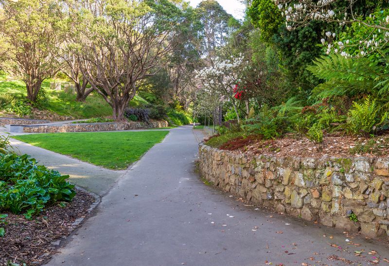 Central Park in Wellington