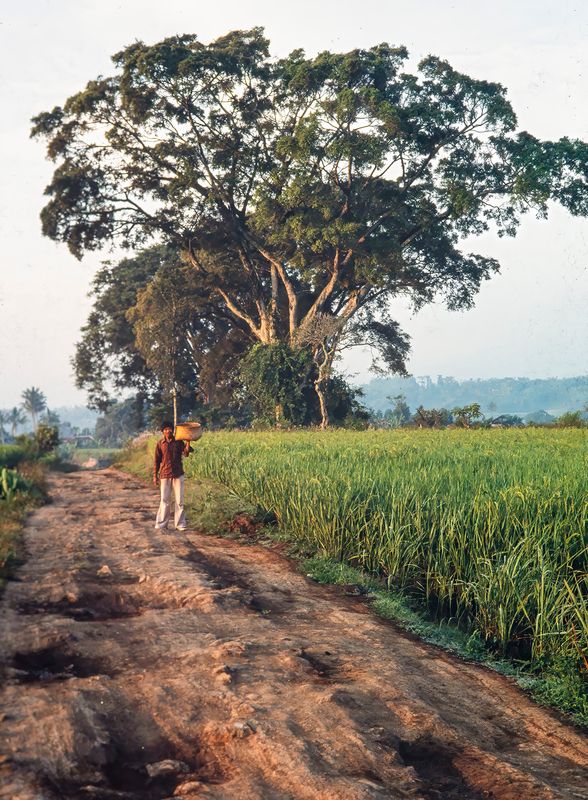 I used to enjoy getting out as the sun rose and drive some of the more remote villages. Got used to pot holed roads