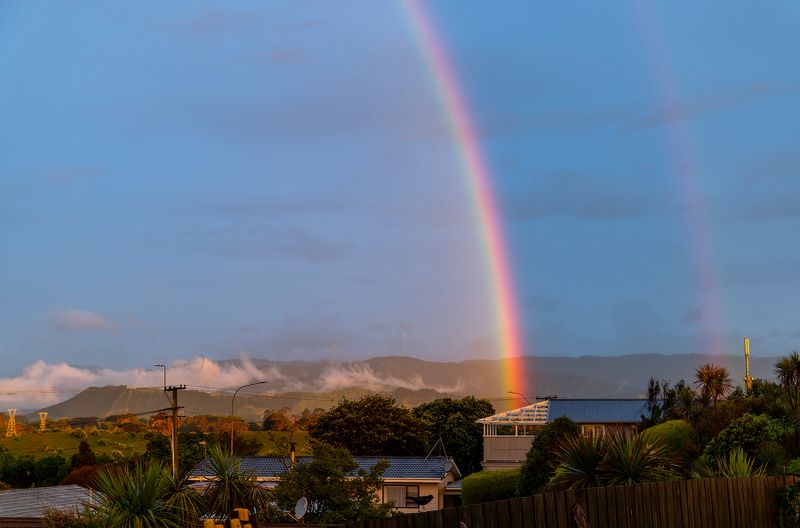 19 November 2023 - I will pop next door and find the pot of gold