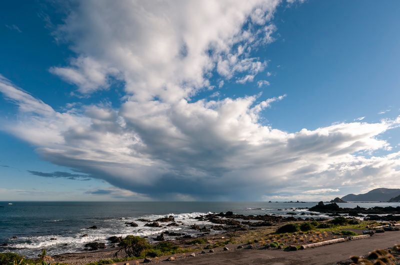 Looking south over Ōwhiro Bay and Cook Strait