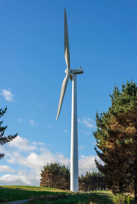 Te Apiti Wind Farm Images