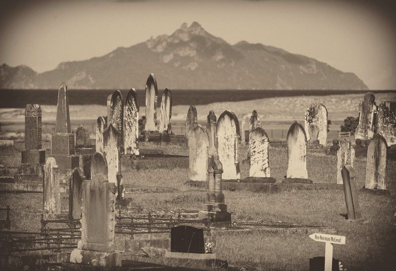 Waipu graveyard, looking for the Reverend McLeod