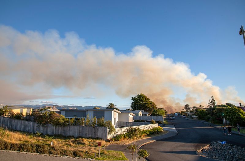 23 March 2024 - First saw smoke at the end of the street as a small wild fire started