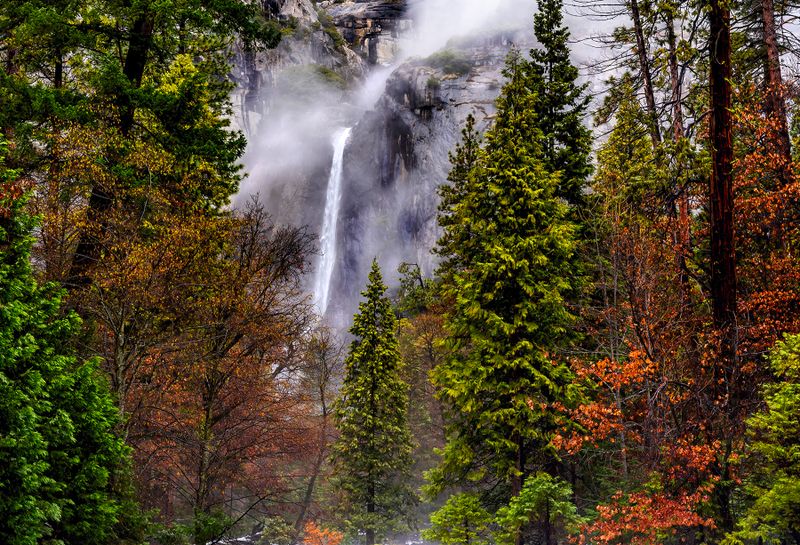 Lower Yosemite Falls, 