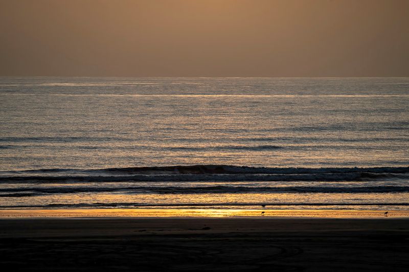 4 June 2024 - Beach, 3 birds, sea and sky