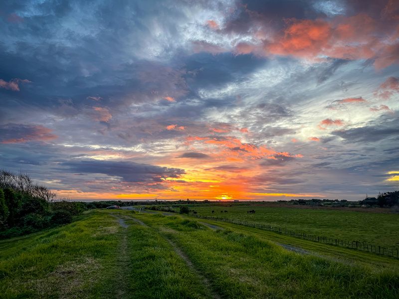Walkway on stopbanks of Otaki River - iPhone edited with Lightroom app