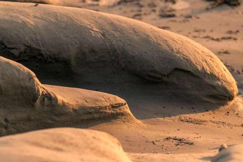 Wind blown sand sculpture