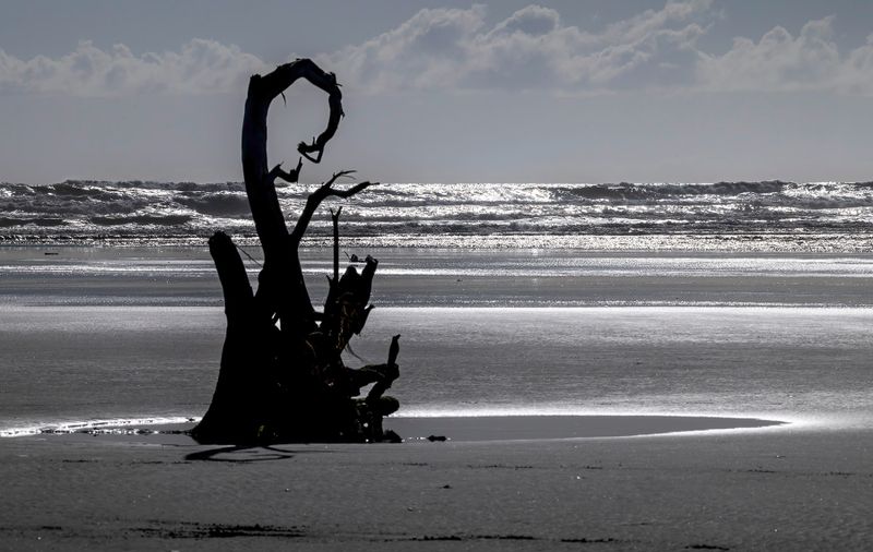 Waikawa Beach