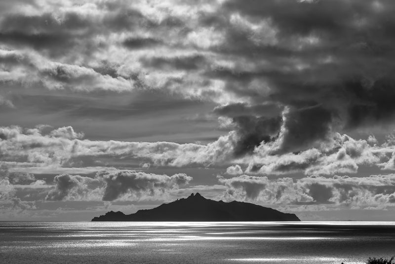 Taranga Island, one of the Hen and Chicks in Bream bay, Northland