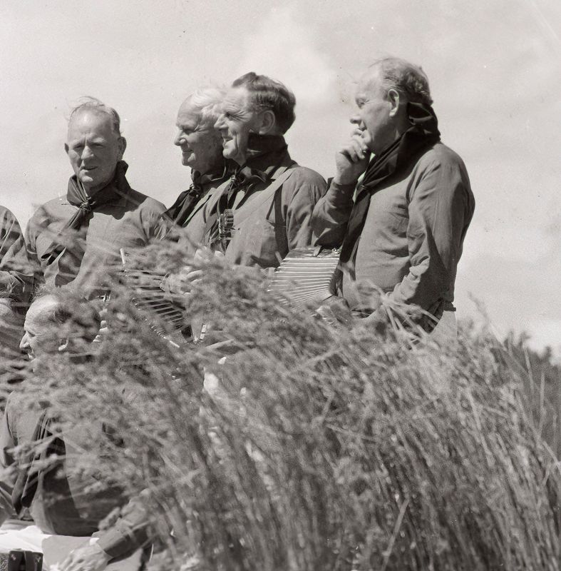 Kokatahi Band