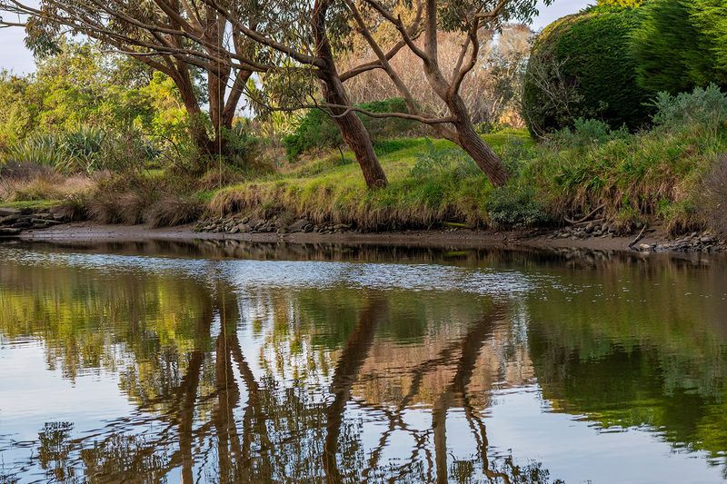 Waikawa River with rope swing