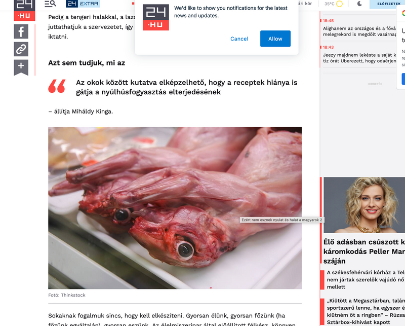 Something to do with eating/cooking rabbits