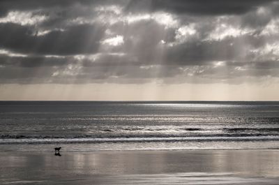 23 April 2024 - Just another afternoon at Ōtaki Beach