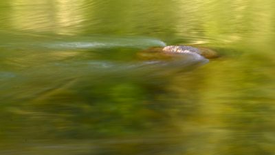 18 July 2025 - A rock in the middle of a river