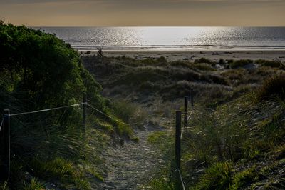 Levin and Horowhenua