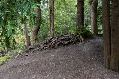 DSCF0674.jpg
