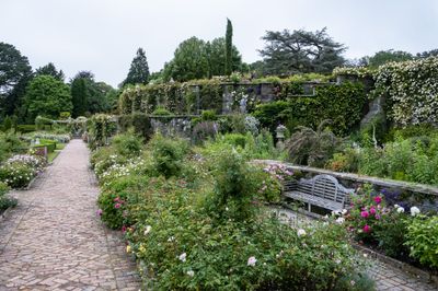 DSCF0707.jpg