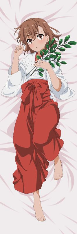 御坂美琴 006 A1.jpg