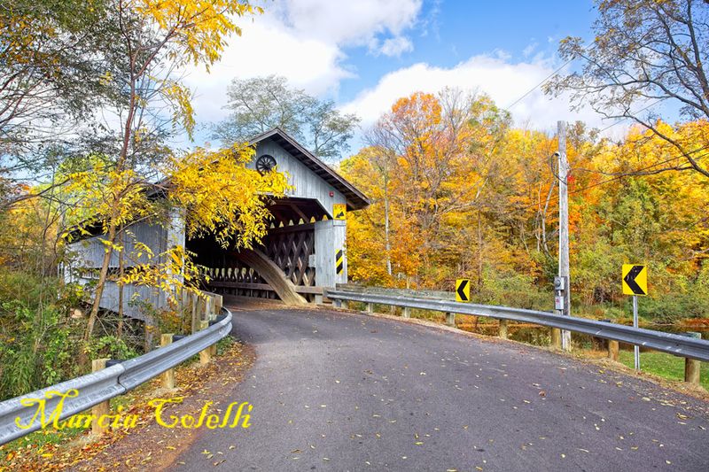 DOYLE RD COVERED BRIDGE_5591.jpg